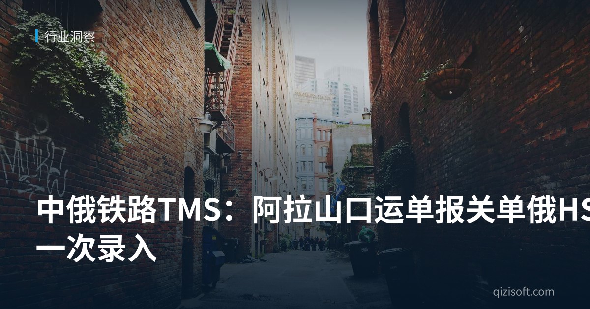 中俄铁路TMS：阿拉山口运单报关单俄HS一次录入